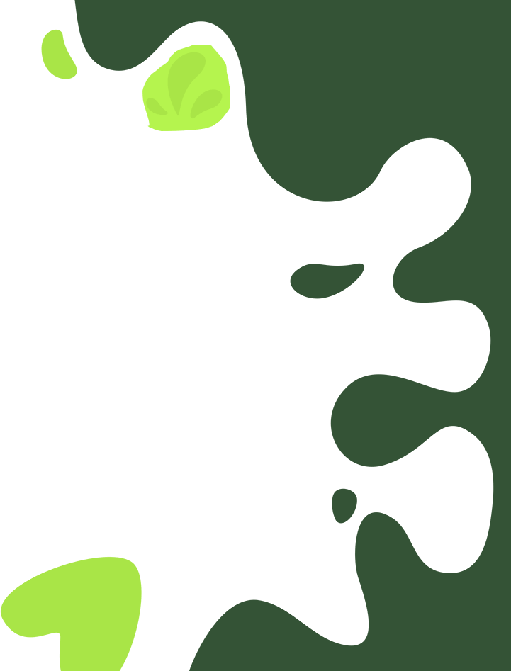 Shape